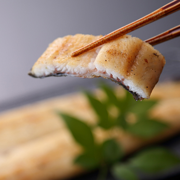 引き出物 塩分を含む井戸水で育った 臭みのないうなぎ 真空パックしない活鰻から焼き上げた味をお楽しみください 国産うなぎの 白焼き大2匹セット《戸村川魚店》 i9marmores.com.br