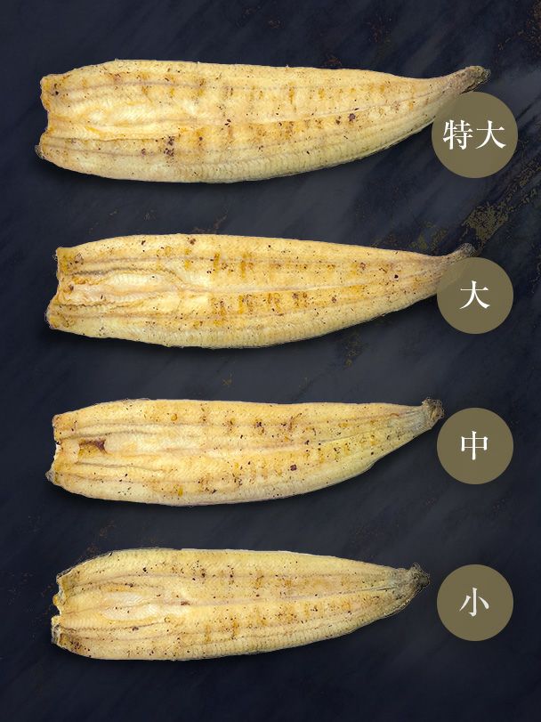 焼きたて本格白焼セット