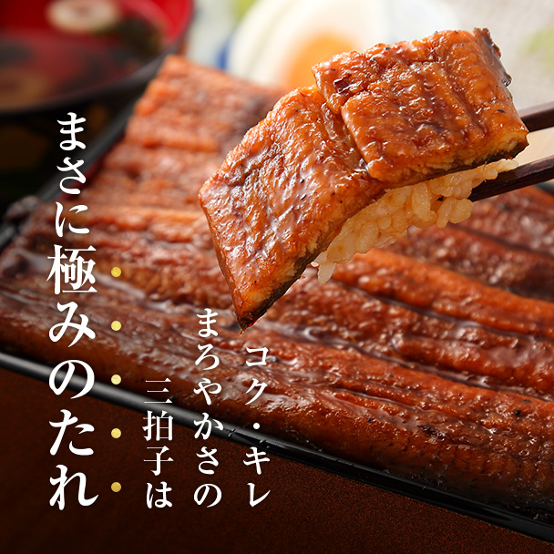 焼きたて白焼セット　たれ付き