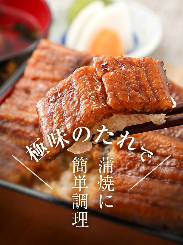 白焼セット（たれ付き） 特大・2本 | うなぎの井口