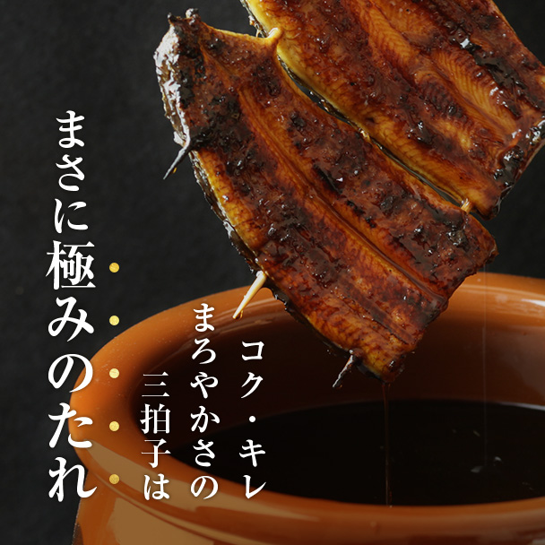 白蒲セット