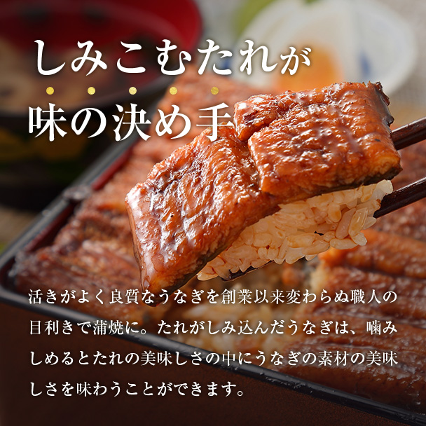 白蒲セット