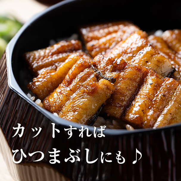 白蒲セット