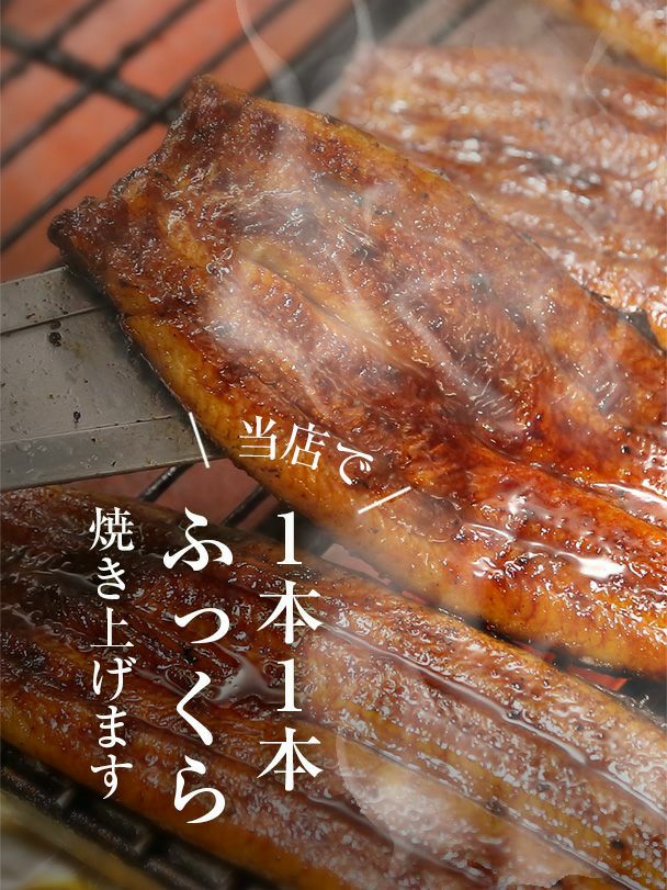 【早割】蒲焼セット　中・2本