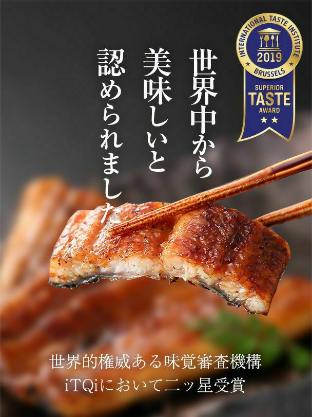 年末年始団らん うなぎまぶしセット 10袋